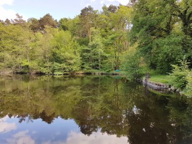 Ormanda sessiz bir gölet Loire Vadisi, Fransa