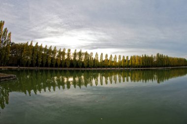 Fransa 'nın Parc de Sceaux Büyük Kanalı' nda yansıyan kavak ağaçları