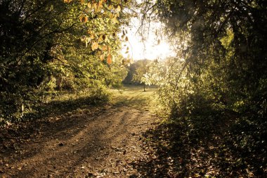 Ormanın Yolu - Parc de Sceaux - Fransa