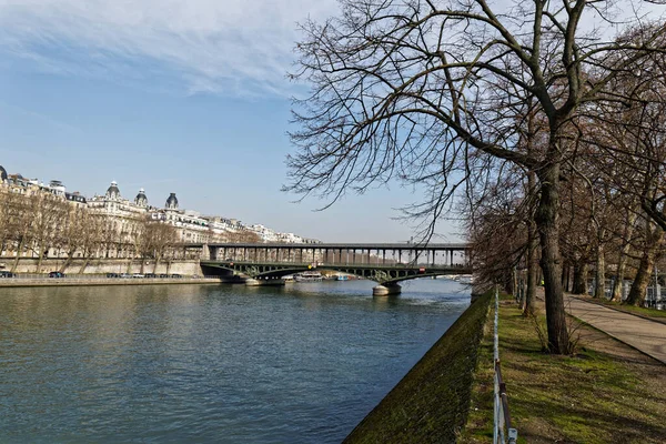 Bir Hakeim Bridge Swans Island Ile Aux Cygnes River Seine — 图库照片