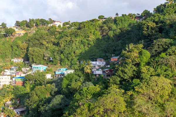 Saint Vincent Grenadine Case Sulla Collina Vicino Kingstown — Foto Stock