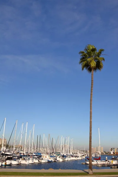 Long Beach Marina Abd — Stok fotoğraf