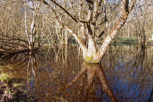 Landschaft Des Loire Tals Nahe Langeais Frankreich — Stockfoto