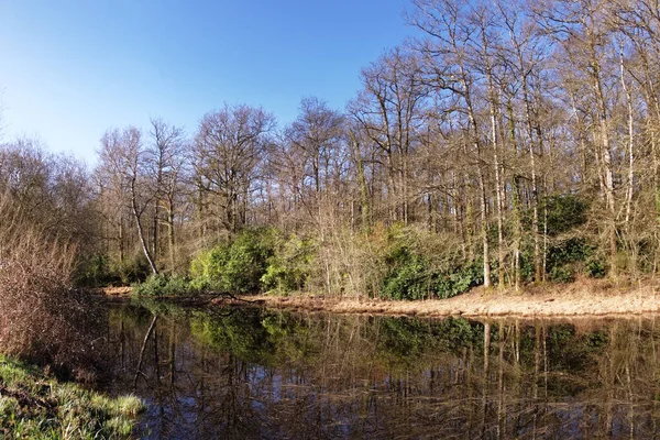 Zona Rural Del Valle Del Loira Cerca Langeais Francia — Foto de Stock