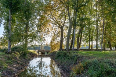 Loire Valley Kırsal Bölgesi - Langeais yakınlarında - Fransa
