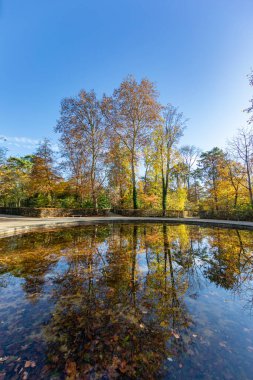 Sonbaharda Parc de Sceaux 'da bir gölet - Ile de France - Paris Bölgesi - Fransa