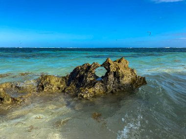 Pointe a Pomme, Cap Chevalier, Sainte-Anne, Martinique, French Antilles