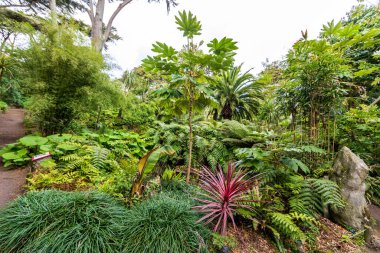 Ile de Batz Botanik Bahçesi (Roscoff), Finistere, Brittany, Fransa