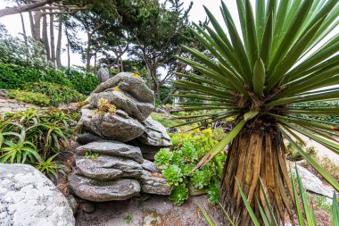 Ile de Batz Botanik Bahçesi (Roscoff), Finistere, Brittany, Fransa