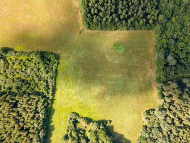 Fransa 'nın Loire Vadisi' ndeki ormandaki bir tarlanın havadan görünüşü