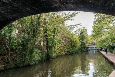 Hyde Park 'tan Küçük Venedik' e Regent Kanalı boyunca yürü Londo.