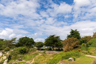 Chausey Adaları 'ndaki çayır, Normandiya