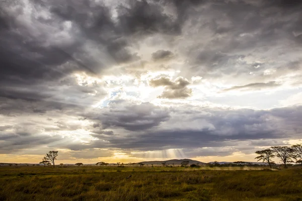 Safari carro dirigindo na bela e dramática paisagem africana — Fotografia de Stock