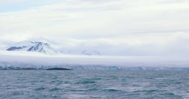 Slow motion av en massiv glaciär i Arktis — Stockvideo