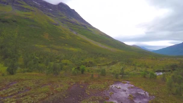 Flygande över en bäck och träd mellan höga berg — Stockvideo