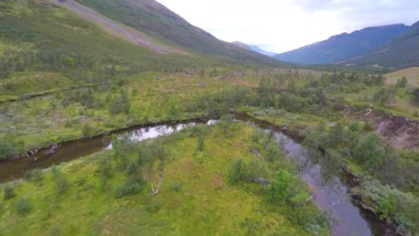 Flygande över en bäck och träd mellan höga berg — Stockvideo