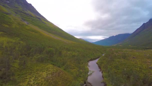 Flygande över en bäck och träd mellan vackra höga berg — Stockvideo