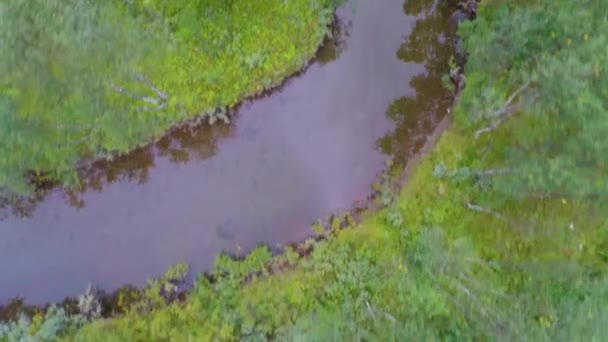 Létání nad potok a stromy mezi vysokými horami — Stock video