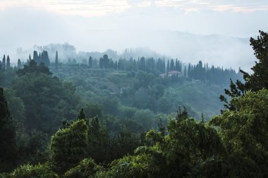 yeşil ve sisli hillside san miniato, İtalya
