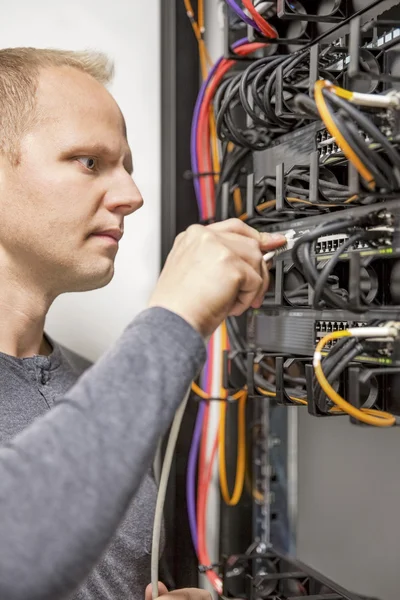 Berater arbeitet mit Netzwerk-Switches — Stockfoto