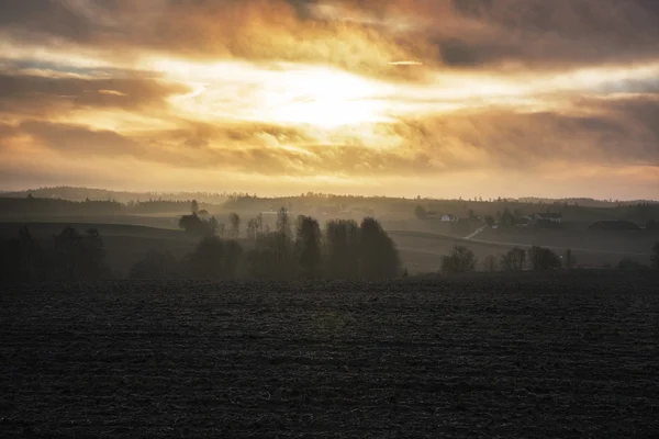 Sunrise soğuk sisli sonbahar sabahı peyzaj üzerinde — Stok fotoğraf