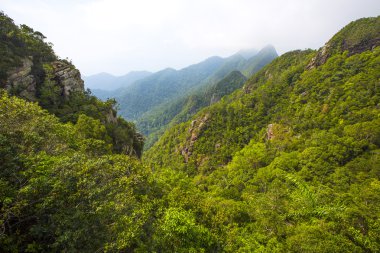 Malezya Langkawi, sisli ve yemyeşil dağ manzarası