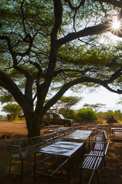 Safari de vida silvestre turistas en picnic en la naturaleza —  Fotos de Stock