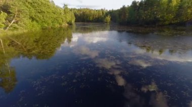Bir güneşli yaz gün taze su üzerinde uçan