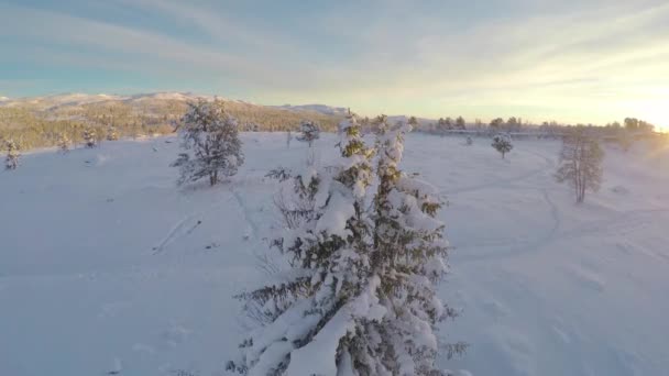 Volando sobre el paisaje montañoso invernal al atardecer — Vídeos de Stock
