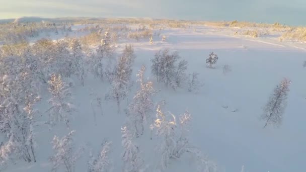 Volando sobre llanuras cubiertas de nieve en las montañas — Vídeos de Stock