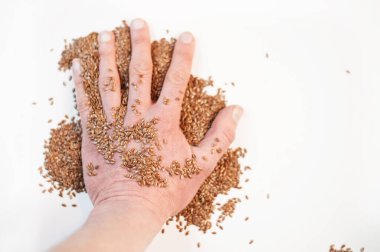 El keten tohumunun üzerinde yatıyor. Sağlıklı gıda kavramı. Uzayı kopyala İzole edilmiş