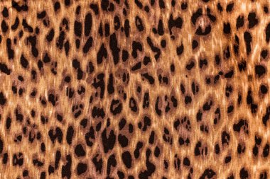 Görüntü ile renkli kumaş arka plan, vahşi bir avcının baskısı - leopar, çita, sırtlan yakın plan