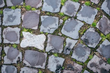 Eski taş patikanın üst manzarası. Asma