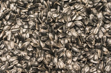 Siyah ayçiçeği tohumlarının güzel arka planı. Yatay