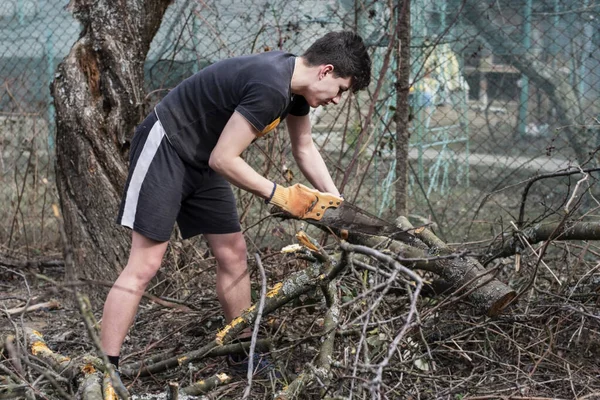 Genç bir adam evinin yakınındaki bahçede çalışıyor, sert bir rüzgardan sonra bir ağaç devrildi ve adam onu bir el testeresiyle kesti. Adam bahçeyi toparlamaya çalışıyor.