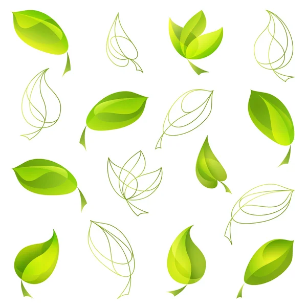 Fresh green leaves — Stock Vector