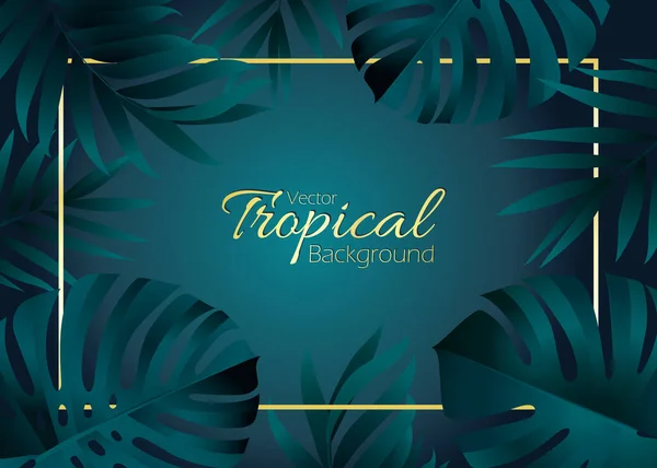 Vektorbotanisches Design Mit Exotischen Tropischen Palmen Dunkelgrünen Blättern Bei Nacht — Stockvektor