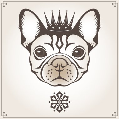 Vector illustration of the dog vector