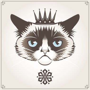huysuz kedi