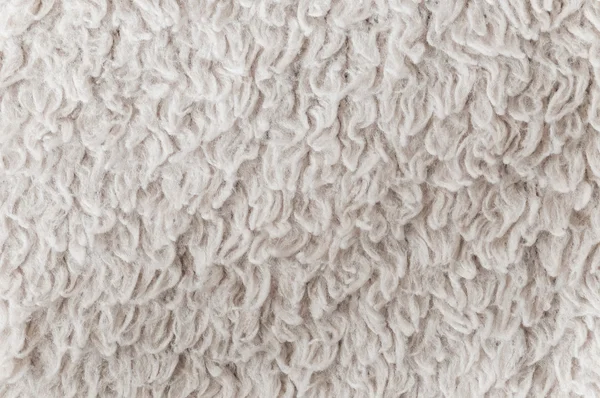 Texture of a white carpet — Stock Photo, Image