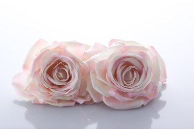 İki pembe yapay gül