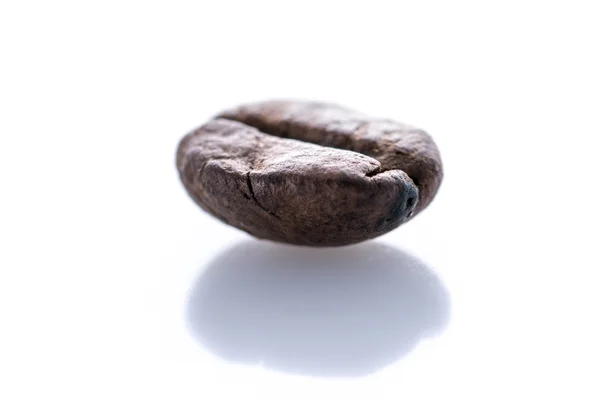 Izolované coffee bean — Stock fotografie