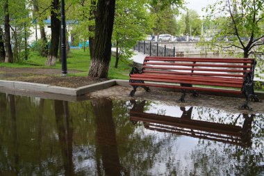 Bankta büyük bir su birikintisi var. Göle park et. Renkleri yeşil ve kırmızıdır..