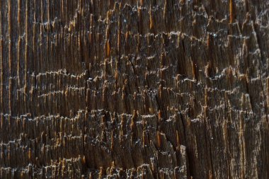Bir ahşap dokusunun fotoğrafı. Doku, tahtaların boyalı yüzeyinin aşınmasıyla oluşur. Yıllık ağaç halkalarının uzun kıvrımlı çizgileri geometrik bir desen oluşturur..