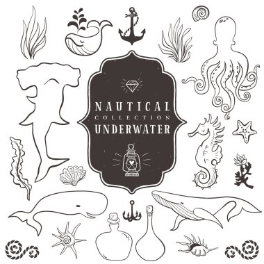 Deniz yaşamını, deniz hayvanları.