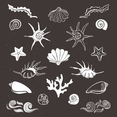 Vintage deniz kabukları, deniz yıldızı, deniz yosunu, mercan ve dalgalar.