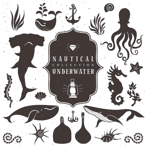 Deniz yaşamını, deniz hayvanları.