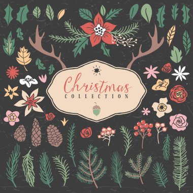 Noel bitki öğeleri.