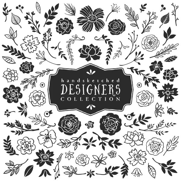 Colección de plantas y flores decorativas vintage — Vector de stock