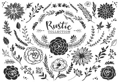 Rustic decorative plants and flowers clipart